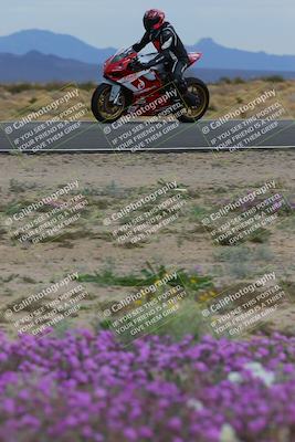 media/Jan-14-2023-SoCal Trackdays (Sat) [[497694156f]]/Turn 14 Exit Bloomig (145pm)/